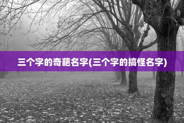 三个字的奇葩名字(三个字的搞怪名字)