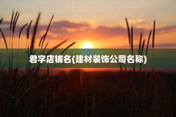 君字店铺名(建材装饰公司名称)