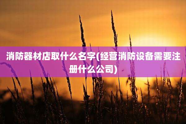 消防器材店取什么名字(经营消防设备需要注册什么公司)