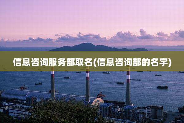 信息咨询服务部取名(信息咨询部的名字)