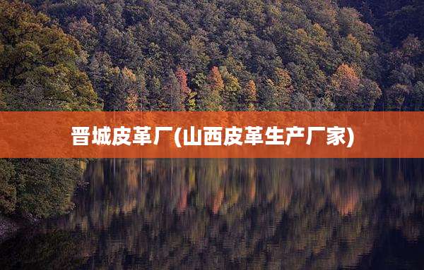 晋城皮革厂(山西皮革生产厂家)