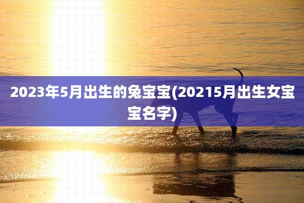 2023年5月出生的兔宝宝(20215月出生女宝宝名字)