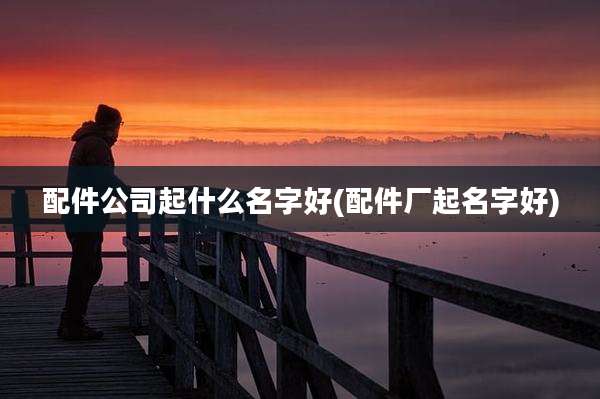 配件公司起什么名字好(配件厂起名字好)