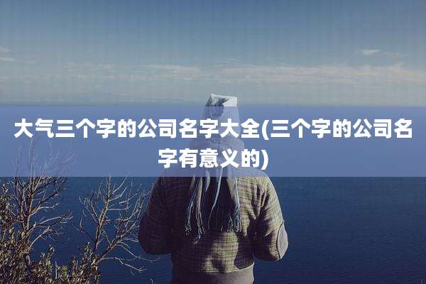 大气三个字的公司名字大全(三个字的公司名字有意义的)