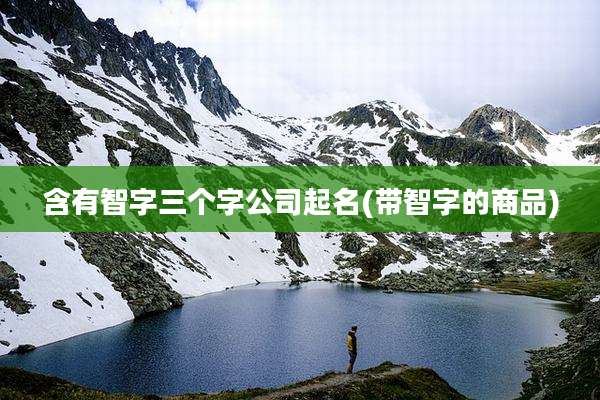 含有智字三个字公司起名(带智字的商品)