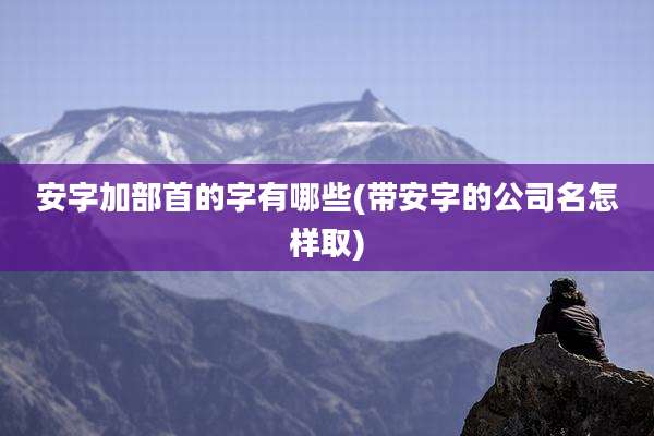 安字加部首的字有哪些(带安字的公司名怎样取)