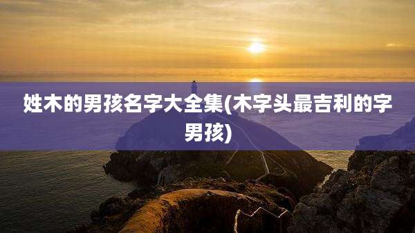姓木的男孩名字大全集(木字头最吉利的字男孩)