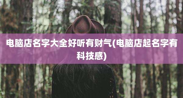 电脑店名字大全好听有财气(电脑店起名字有科技感)