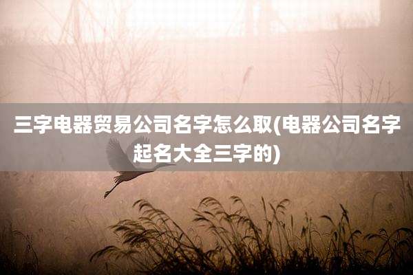 三字电器贸易公司名字怎么取(电器公司名字起名大全三字的)