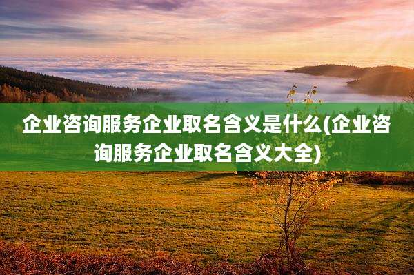 企业咨询服务企业取名含义是什么(企业咨询服务企业取名含义大全)