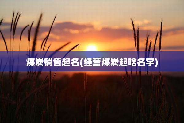 煤炭销售起名(经营煤炭起啥名字)