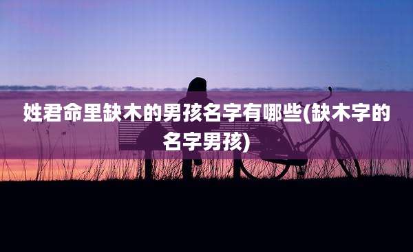 姓君命里缺木的男孩名字有哪些(缺木字的名字男孩)