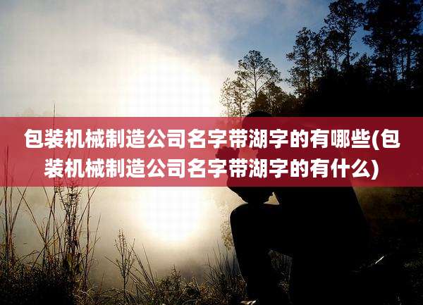 包装机械制造公司名字带湖字的有哪些(包装机械制造公司名字带湖字的有什么)
