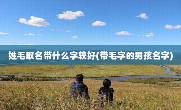 姓毛取名带什么字较好(带毛字的男孩名字)