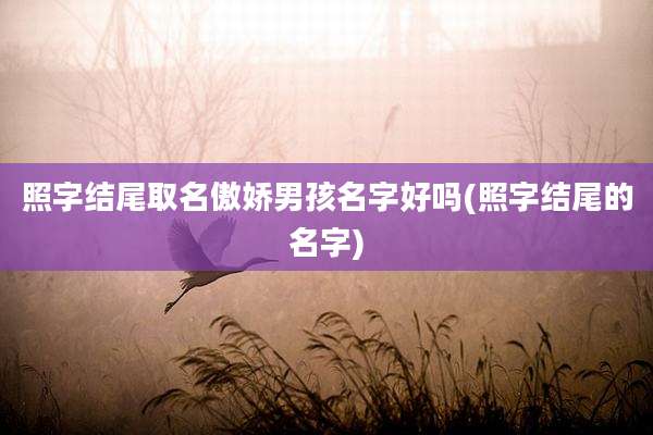 照字结尾取名傲娇男孩名字好吗(照字结尾的名字)