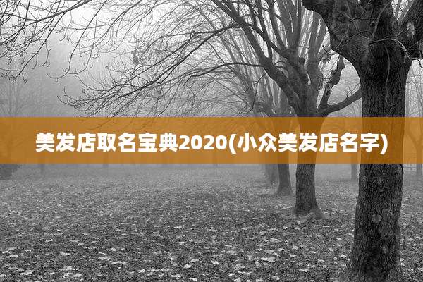 美发店取名宝典2020(小众美发店名字)