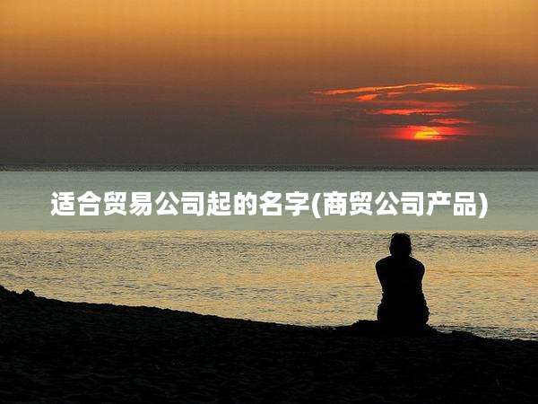 适合贸易公司起的名字(商贸公司产品)
