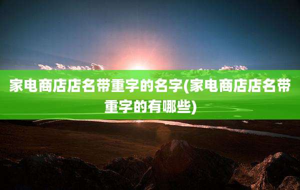 家电商店店名带重字的名字(家电商店店名带重字的有哪些)