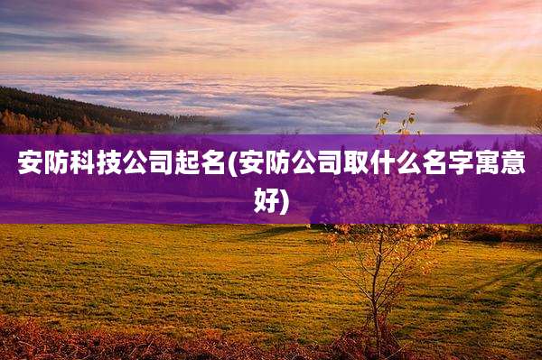 安防科技公司起名(安防公司取什么名字寓意好)