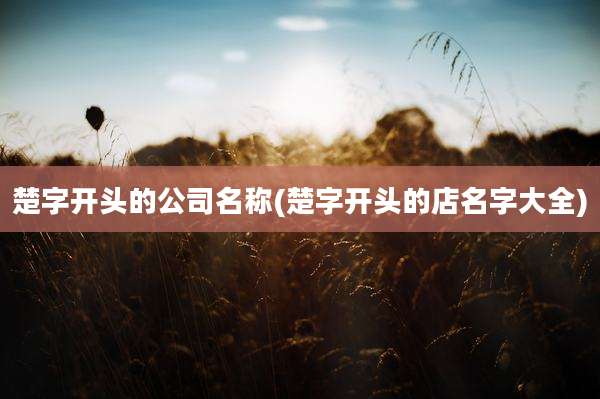 楚字开头的公司名称(楚字开头的店名字大全)
