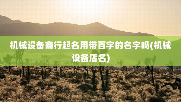 机械设备商行起名用带百字的名字吗(机械设备店名)