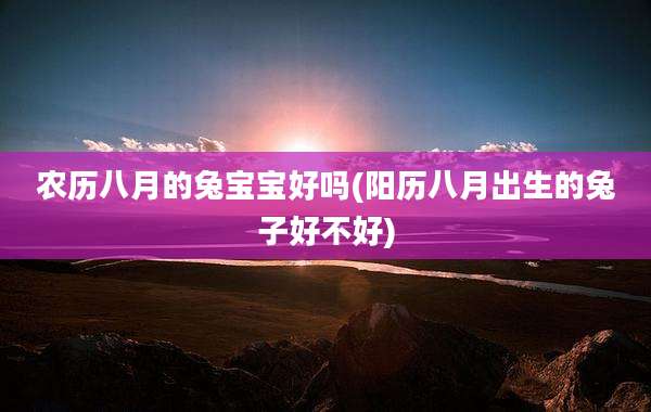 农历八月的兔宝宝好吗(阳历八月出生的兔子好不好)