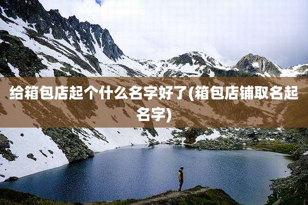 给箱包店起个什么名字好了(箱包店铺取名起名字)