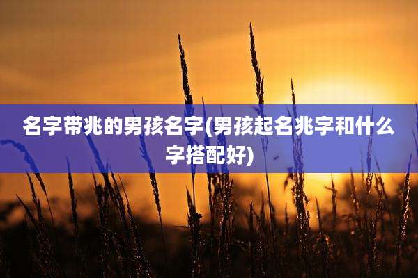名字带兆的男孩名字(男孩起名兆字和什么字搭配好)