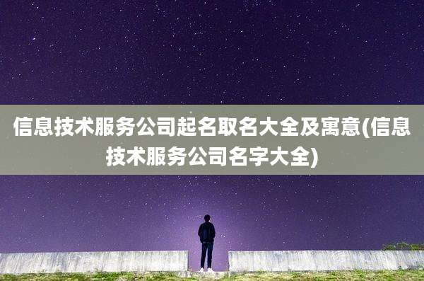 信息技术服务公司起名取名大全及寓意(信息技术服务公司名字大全)