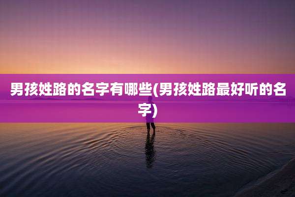 男孩姓路的名字有哪些(男孩姓路最好听的名字)