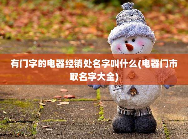 有门字的电器经销处名字叫什么(电器门市取名字大全)