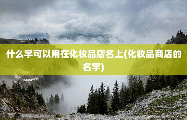 什么字可以用在化妆品店名上(化妆品商店的名字)