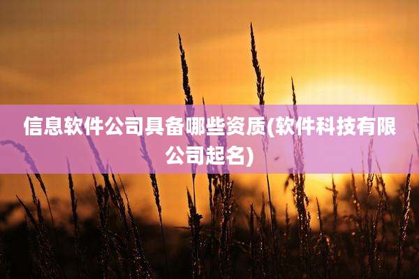 信息软件公司具备哪些资质(软件科技有限公司起名)