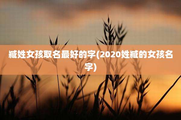臧姓女孩取名最好的字(2020姓臧的女孩名字)