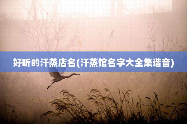 好听的汗蒸店名(汗蒸馆名字大全集谐音)
