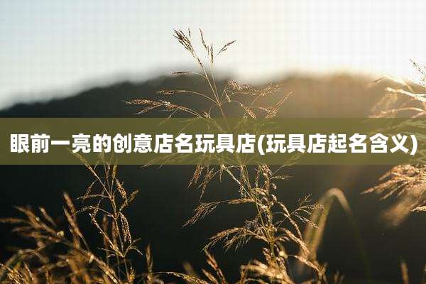 眼前一亮的创意店名玩具店(玩具店起名含义)