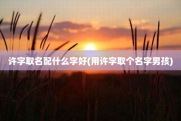 许字取名配什么字好(用许字取个名字男孩)