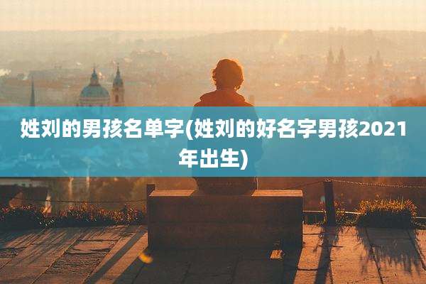 姓刘的男孩名单字(姓刘的好名字男孩2021年出生)