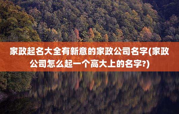 家政起名大全有新意的家政公司名字(家政公司怎么起一个高大上的名字?)