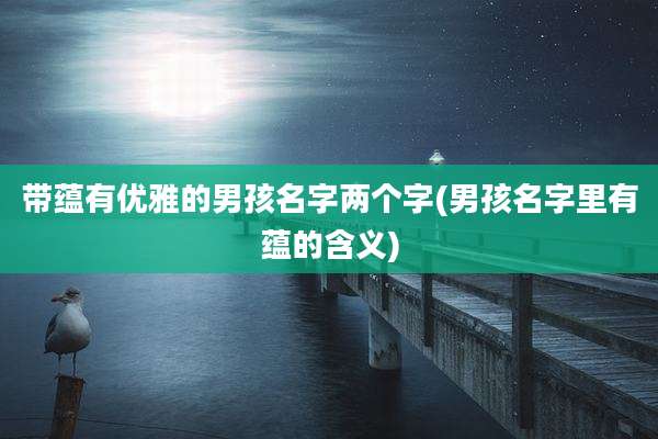 带蕴有优雅的男孩名字两个字(男孩名字里有蕴的含义)