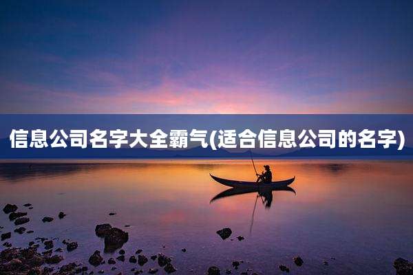 信息公司名字大全霸气(适合信息公司的名字)