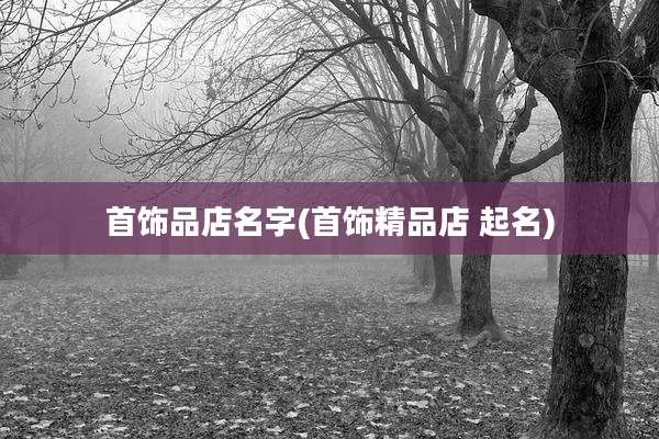 首饰品店名字(首饰精品店 起名)