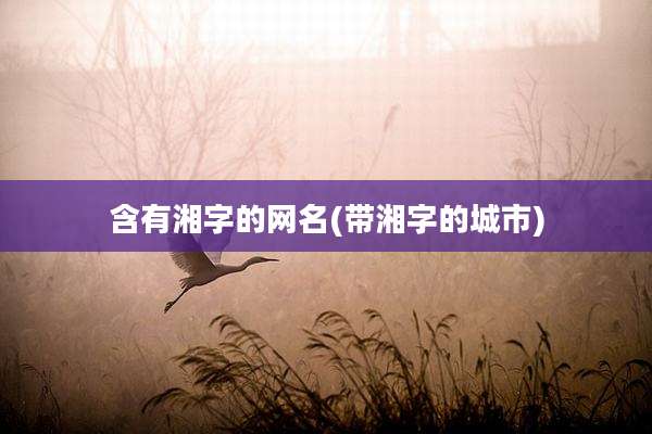含有湘字的网名(带湘字的城市)