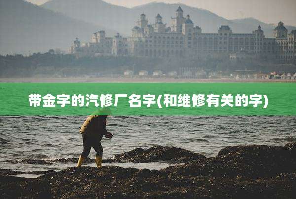 带金字的汽修厂名字(和维修有关的字)