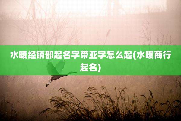 水暖经销部起名字带亚字怎么起(水暖商行起名)