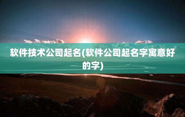 软件技术公司起名(软件公司起名字寓意好的字)