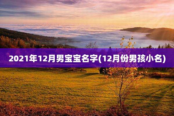 2021年12月男宝宝名字(12月份男孩小名)