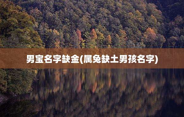 男宝名字缺金(属兔缺土男孩名字)