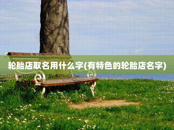轮胎店取名用什么字(有特色的轮胎店名字)