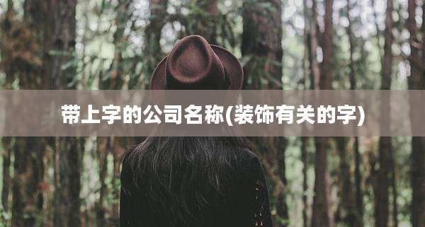 带上字的公司名称(装饰有关的字)